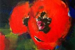 Two Red Poppies